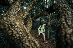 BIB: 
                            <button type="button" onclick="openModal(25393402)" class="btn btn-primary btn-sm float-right btn-popup" data-toggle="modal" data-target=".modal-high-quality">
                        <i class="fas fa-shopping-cart"></i> Add to Cart
                    </button>
                                            <button type="button" onclick="isThisMe(25393402, true)" class="btn btn-success btn-sm float-right btn-popup btn-isme hidden" data-toggle="tooltip" data-placement="bottom" title="นี่คือรูปของคุณใช่ไหม คลิกที่นี่เพื่อเอาเข้าอัลบั้ม">
                        <i class="fas fa-plus"></i> Add to album
                    </button>
                    <button type="button" onclick="isThisMe(25393402, false)" class="btn btn-warning btn-sm float-right btn-popup btn-isnotme hidden">
                        <i class="fas fa-ban"></i> Remove from album
                    </button>